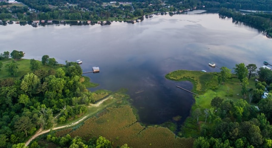 Making Space For New Farm Centre In Alabama Set To Begin: Top 3 Land Clearing Tips From Experts