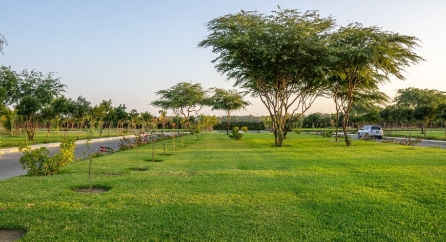 Raising The Bar - Innovation Converts Green Space Into A Utility