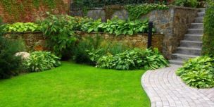 Landscaping tips