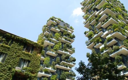 What Makes a "Green Home"?